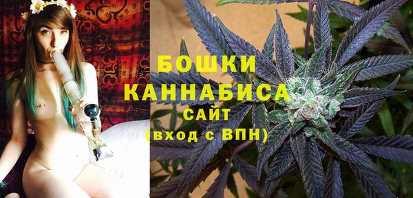 прущие грибы Пенза