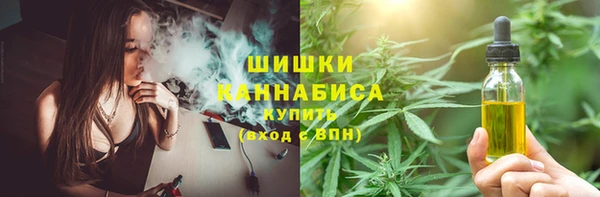 ПСИЛОЦИБИНОВЫЕ ГРИБЫ Зеленодольск