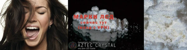 прущие грибы Пенза