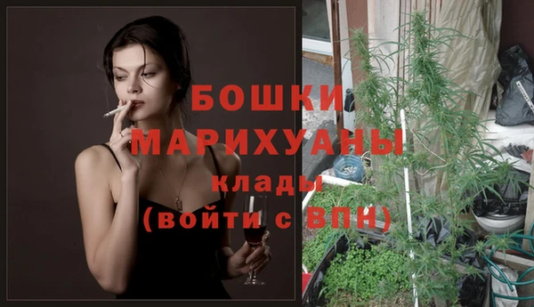 ПСИЛОЦИБИНОВЫЕ ГРИБЫ Зеленодольск