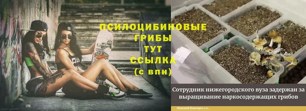 марки lsd Зерноград