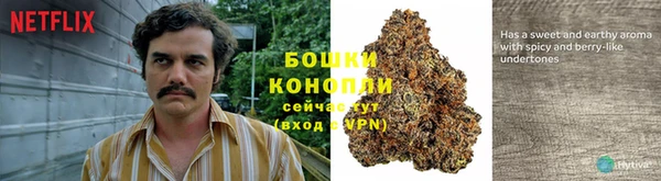 марки lsd Зерноград