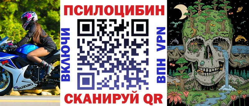 Галлюциногенные грибы мухоморы  KRAKEN онион  Каргополь 